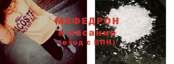 молекула духа Богданович