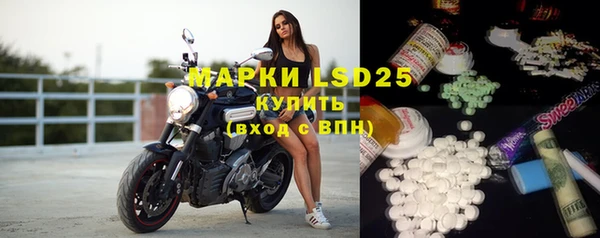 молекула духа Богданович