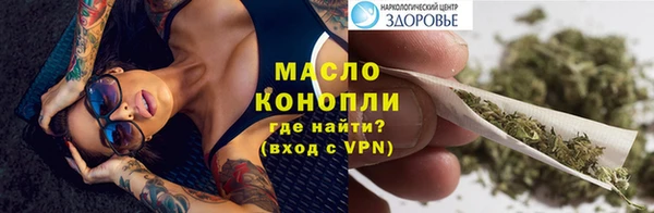 молекула духа Богданович