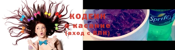 молекула духа Богданович