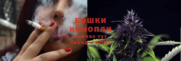 ПСИЛОЦИБИНОВЫЕ ГРИБЫ Богородицк