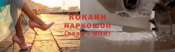 молекула духа Богданович