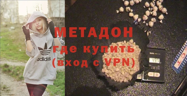 молекула духа Богданович