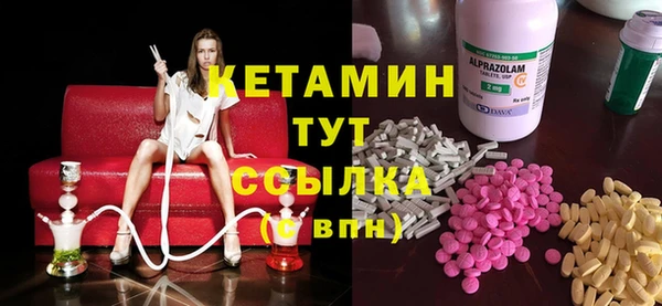 молекула духа Богданович