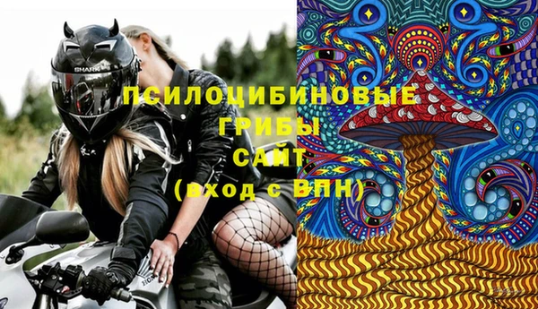 молекула духа Богданович